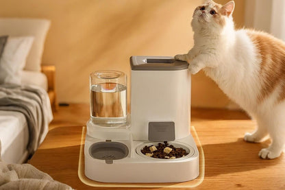 2 in 1 Automatic Cat Feeder and Waterer Ceramic Pet Bowl for Cats and Small Dogs V1263-JX-6223
