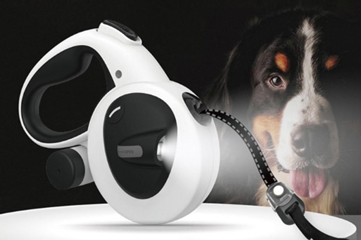 5m Auto Retractable Dog Leash with LED Light Pet Walking Lead for Small Medium Large Dogs - L V1263-JX-6250-2
