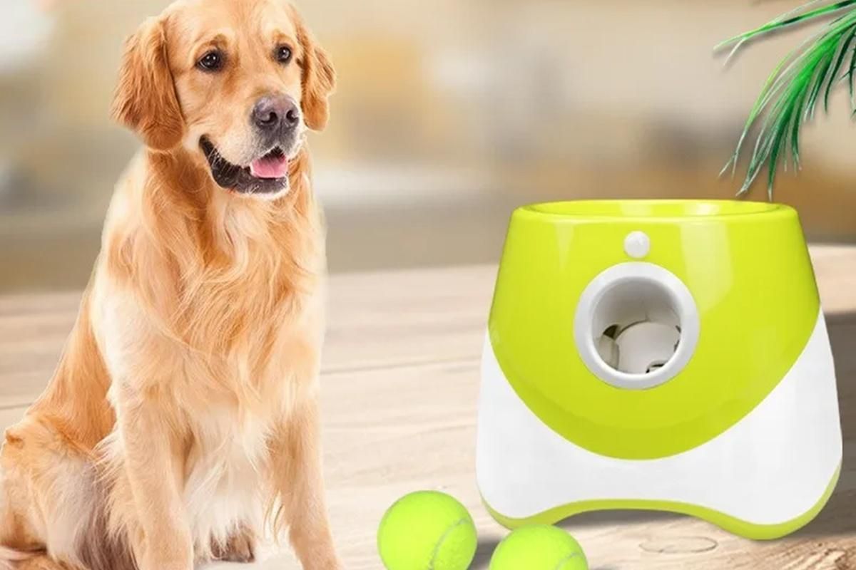 Dog Ball Launcher Thrower Automatic Tennis Fetch Throwing Machine with 3 Balls -Light Green V1263-JX-6251-3