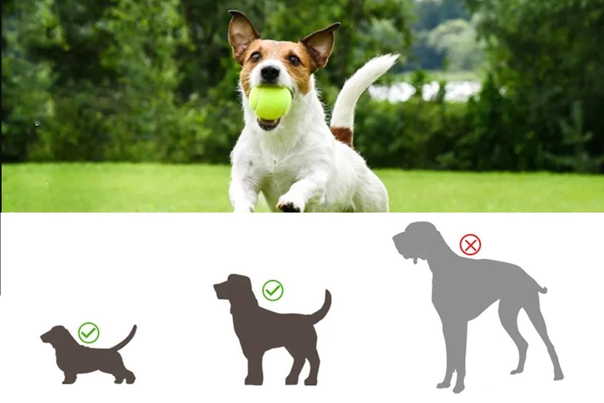 Dog Ball Launcher Thrower Automatic Tennis Fetch Throwing Machine with 3 Balls -Light Green V1263-JX-6251-3