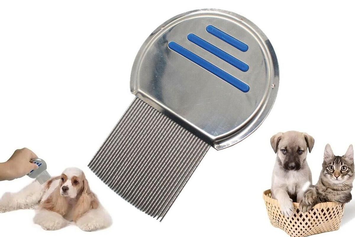 Stainless Steel Pet Flea Comb Fine Tooth Grooming Tool for Dogs Cats - Blue V1263-JX-6253-2