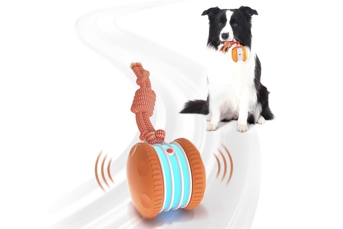 Interactive Pet Rolling Ball Toy Rechargeable Automatic Play Ball for Cats and Dogs - Orange V1263-JX-6257-1