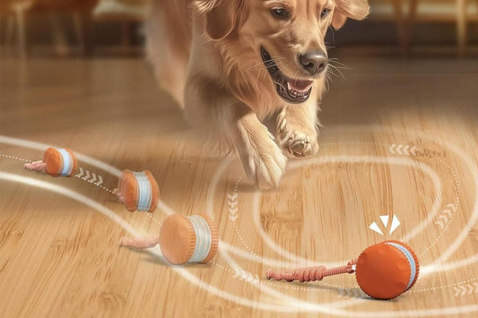 Interactive Pet Rolling Ball Toy Rechargeable Automatic Play Ball for Cats and Dogs - Orange V1263-JX-6257-1