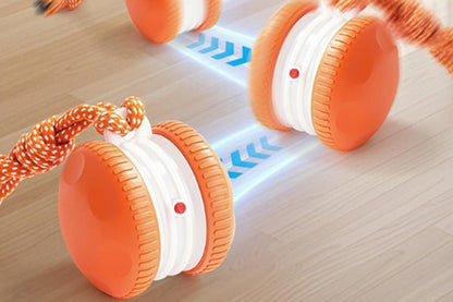 Interactive Pet Rolling Ball Toy Rechargeable Automatic Play Ball for Cats and Dogs - Orange V1263-JX-6257-1