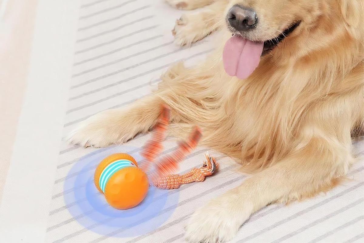 Interactive Pet Rolling Ball Toy Rechargeable Automatic Play Ball for Cats and Dogs - Orange V1263-JX-6257-1