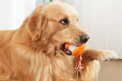 Interactive Pet Rolling Ball Toy Rechargeable Automatic Play Ball for Cats and Dogs - Orange V1263-JX-6257-1