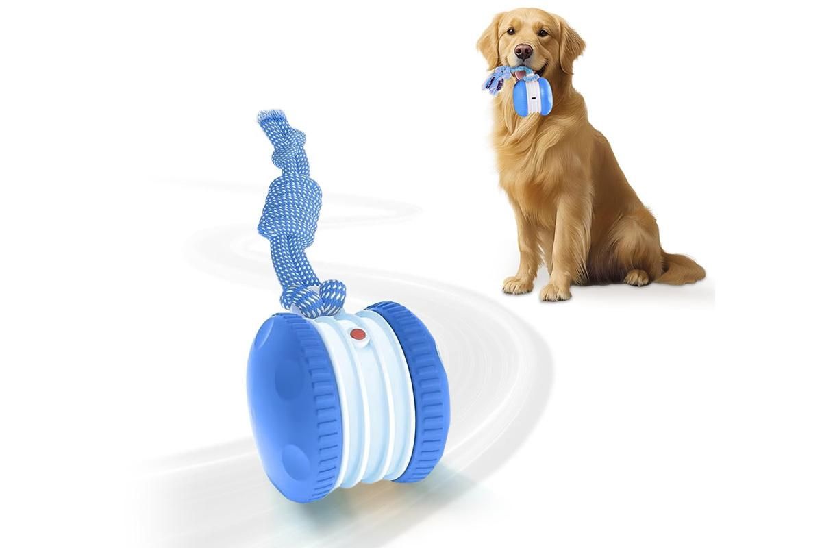 Interactive Pet Rolling Ball Toy Rechargeable Automatic Play Ball for Cats and Dogs - Blue V1263-JX-6257-2