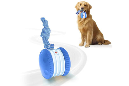 Interactive Pet Rolling Ball Toy Rechargeable Automatic Play Ball for Cats and Dogs - Blue V1263-JX-6257-2