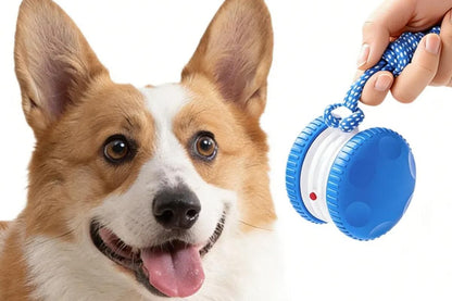 Interactive Pet Rolling Ball Toy Rechargeable Automatic Play Ball for Cats and Dogs - Blue V1263-JX-6257-2
