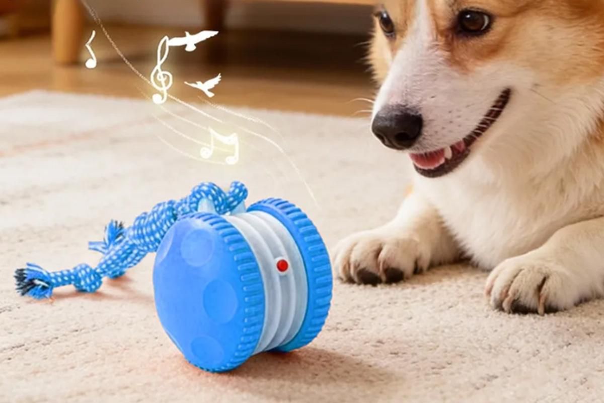 Interactive Pet Rolling Ball Toy Rechargeable Automatic Play Ball for Cats and Dogs - Blue V1263-JX-6257-2