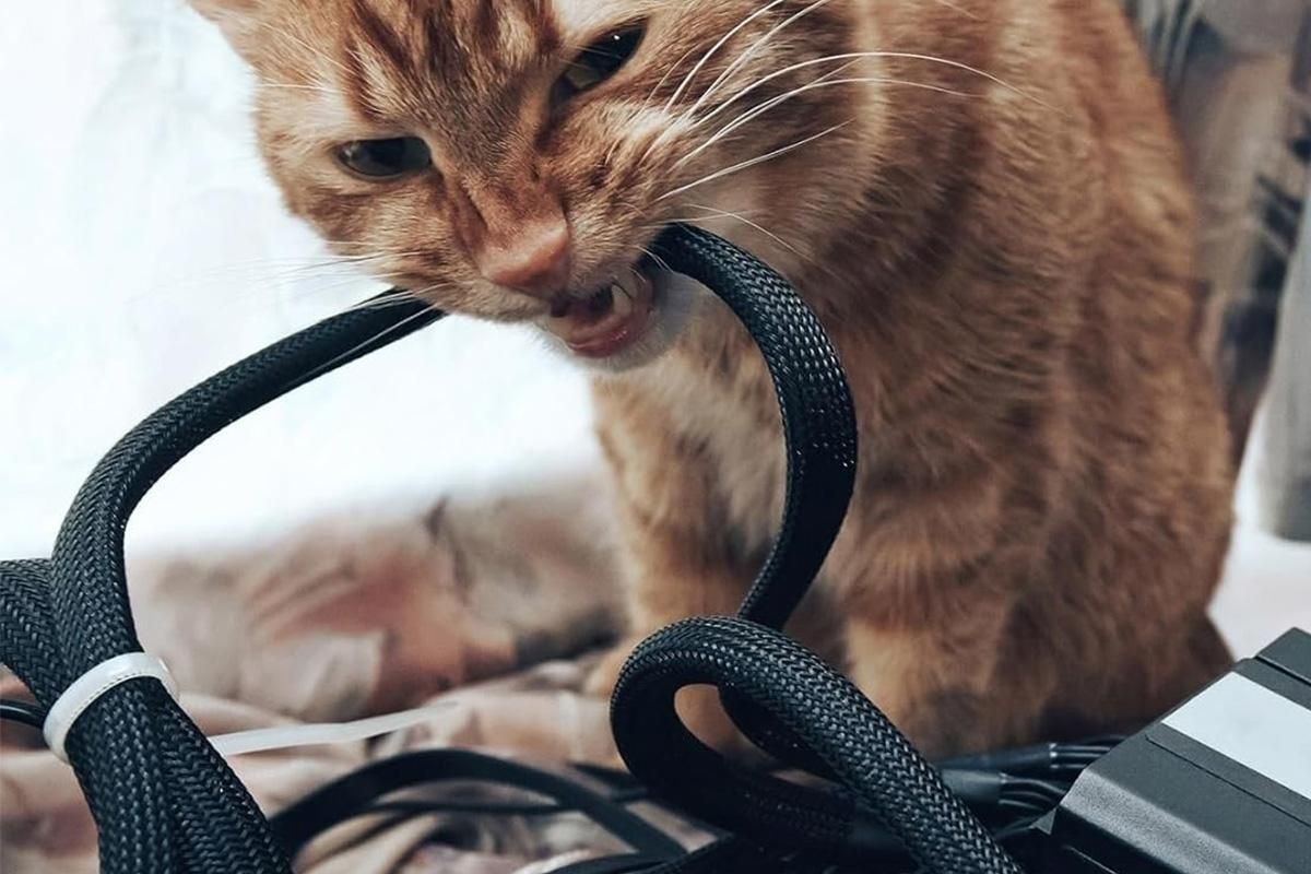 No Chew Cord Protector for Pets Bite Resistant Cable Sleeve for Cats Dogs Rabbits - S V1263-JX-6355