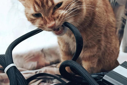 No Chew Cord Protector for Pets Bite Resistant Cable Sleeve for Cats Dogs Rabbits - S V1263-JX-6355