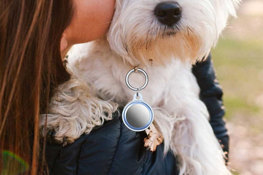 Set of 6Pcs Airtag Case Cover Anti-lost Keychain Ring Protective Case for Apple Airtag Holder TPU Protective V1263-JX-6423