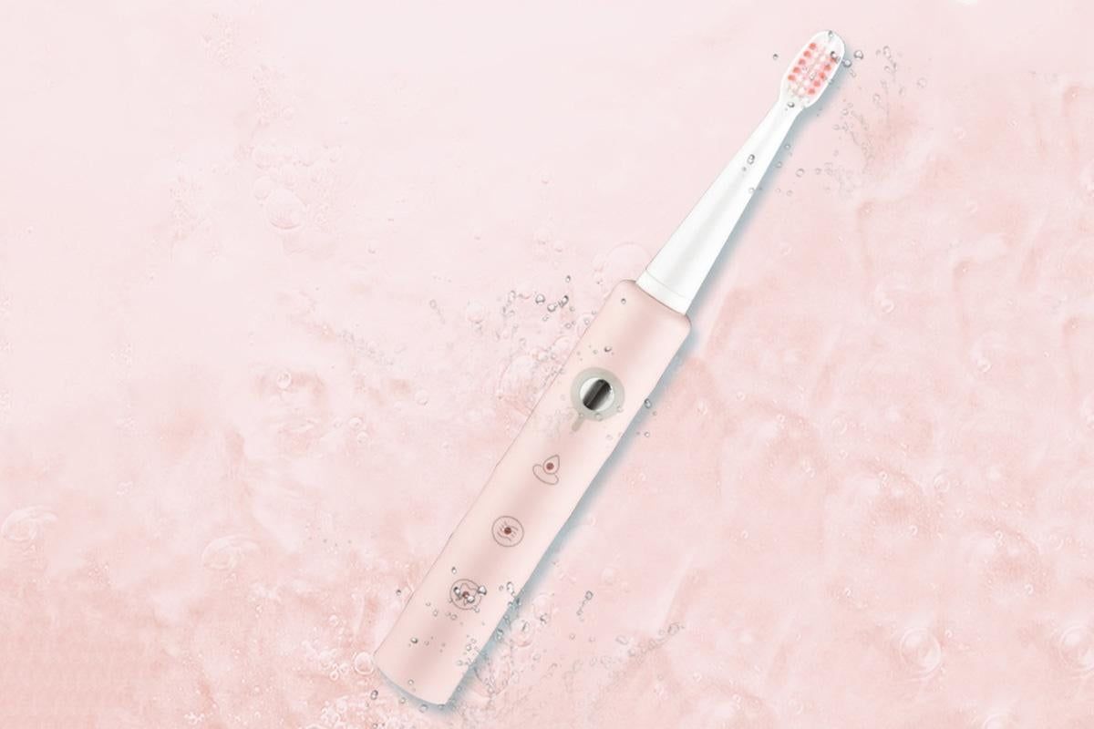 Electric Toothbrush for Adults Powerful Sonic Toothbrush 6 Modes with 4 Replacement Brush Heads - Pink V1263-JX-6519-2
