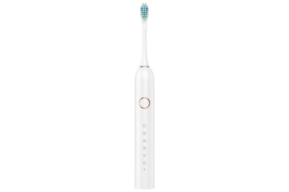 22000 VPM Electric Toothbrush for Adults with 10 Brush Heads and 6 Modes Toothbrush Sets - White V1263-JX-6521-1
