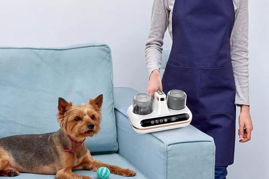 Bed Vacuum Cleaner Cordless Mattress Vacuum Cleaner For Dust Pet Hair V1263-JX-6679