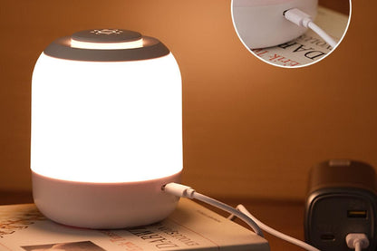 Night Light Dimmable Touch Lamp for Bedroom Room Touch Portable Table Bedside Lamp V1263-JX-6716