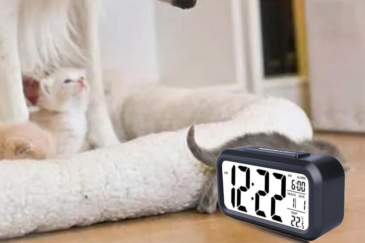 Desk Small Clock Night Light Digital Alarm Clock Battery Operated with Indoor Temperature -Black V1263-JX-6731-1
