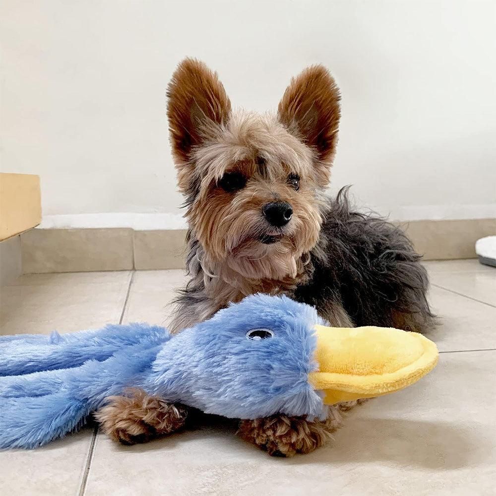 Interactive Plush Duck Dog Toy - Chew Toy for Small Dogs Blue V1263-JX-6802