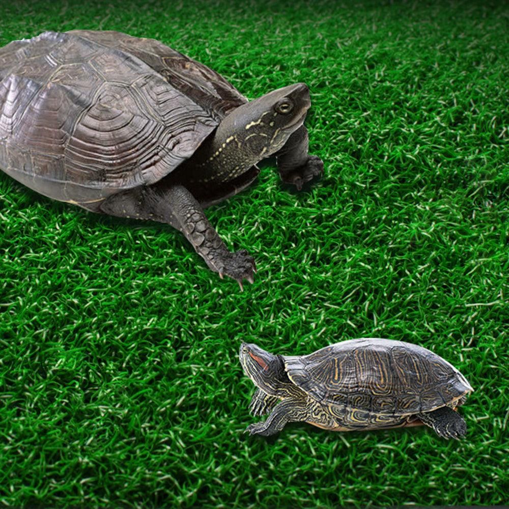 Turtle Basking Platform Simulation Grass Turtle Ramp for Fish Tank Aquarium - M V1263-JX-6803-2