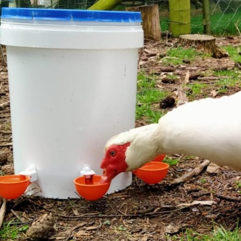 5Pcs Automatic Chicken Waterer Cups Water Feeder for Chicks Duck Goose Orange V1263-JX-6830