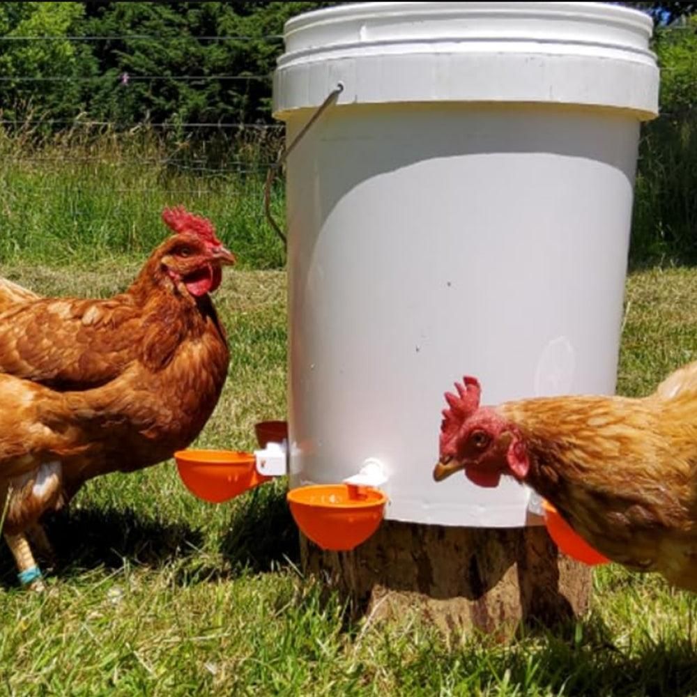 5Pcs Automatic Chicken Waterer Cups Water Feeder for Chicks Duck Goose Orange V1263-JX-6830