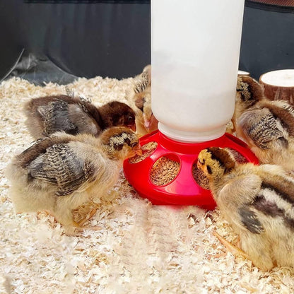 1L Chick Food Feeder and 1.5L Chicken Water Feeder Kit for Chick Aviaries V1263-JX-6833