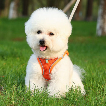 Pet Cat Harness and Leash Set Breathable Vest with Reflective Strip for Kitten Walking Traveling Orange - M V1263-JX-6840-2