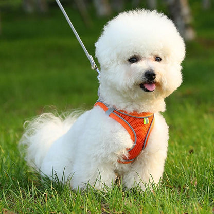 Pet Cat Harness and Leash Set Breathable Vest with Reflective Strip for Kitten Walking Traveling Orange - L V1263-JX-6840-3