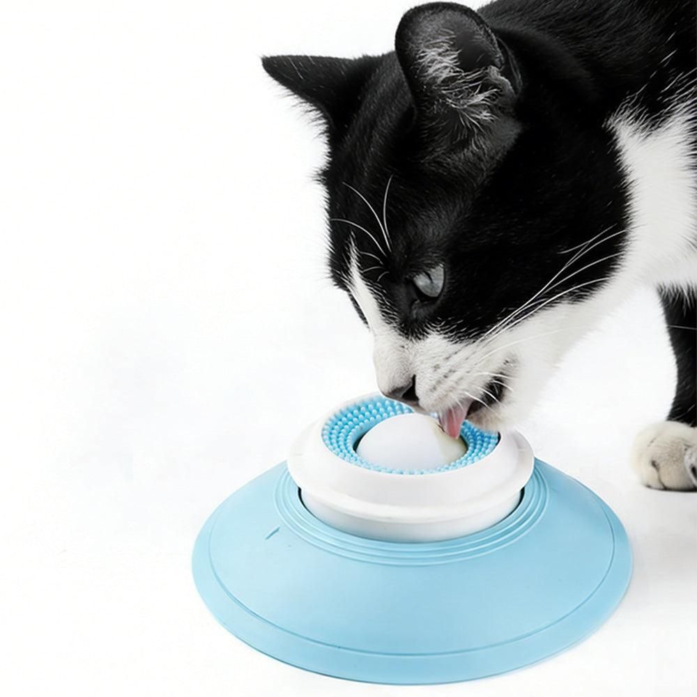 2PCS Non-Slip Slow Feeder Bowl for Dogs & Cats V1263-JX-6849