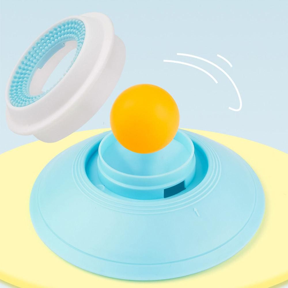 2PCS Non-Slip Slow Feeder Bowl for Dogs & Cats V1263-JX-6849