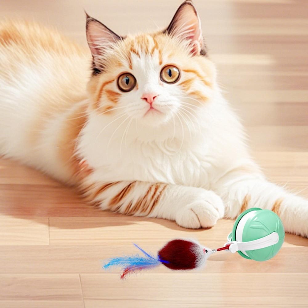 Electric Automatic Moving Rolling Dog Toy Interactive Dog Ball Toy Green V1263-JX-6854