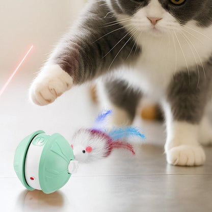 Electric Automatic Moving Rolling Dog Toy Interactive Dog Ball Toy Green V1263-JX-6854