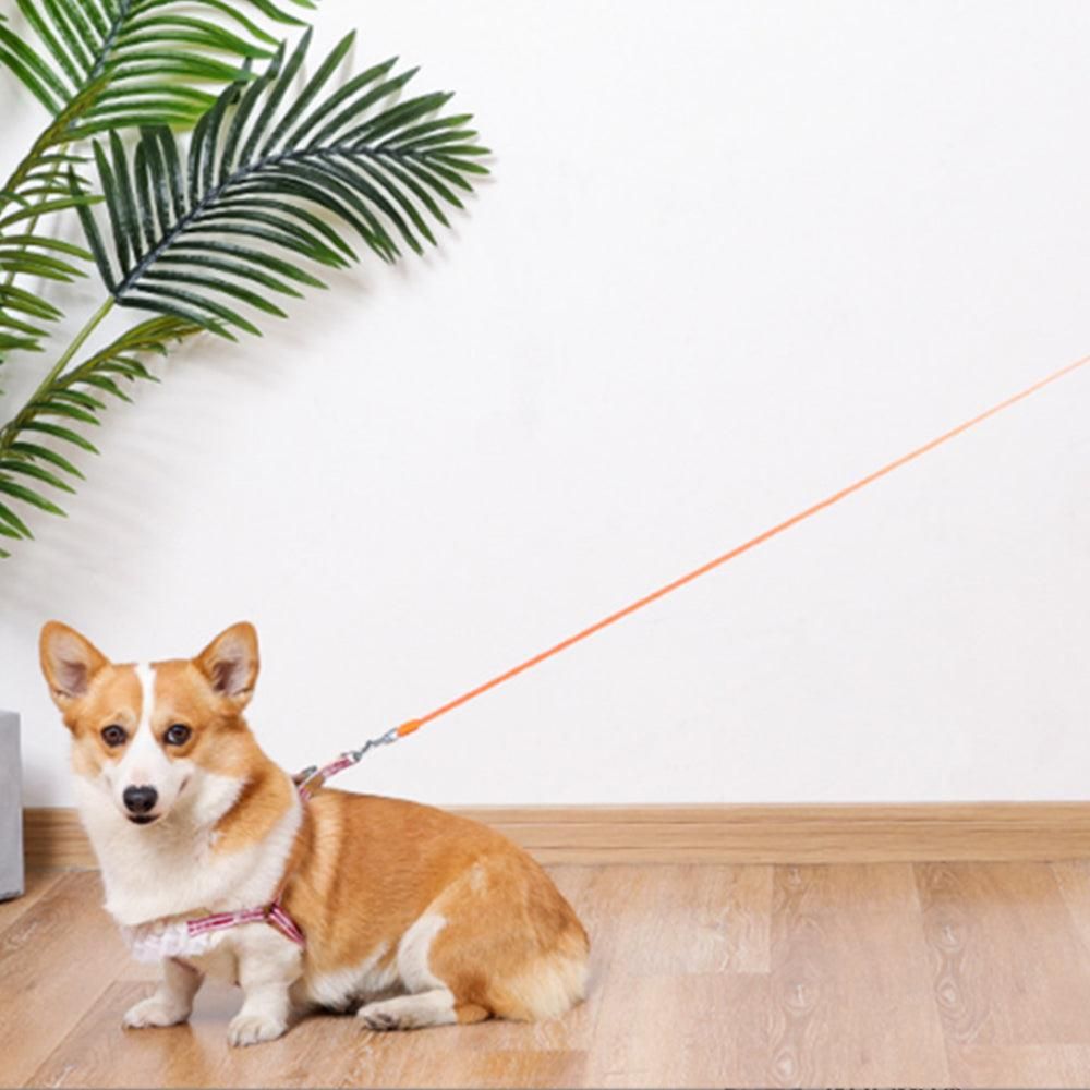 5M RGB Light Pet Leads Retractable Traction Rope Pet Cat Dog Leash Orange V1263-JX-6865