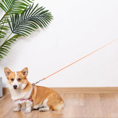 5M RGB Light Pet Leads Retractable Traction Rope Pet Cat Dog Leash Orange V1263-JX-6865