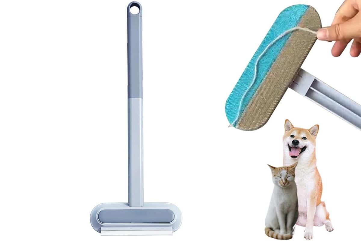 Pet Hair Remover Reusable Brush for Sofa Bed Carpet V1263-JX-6879