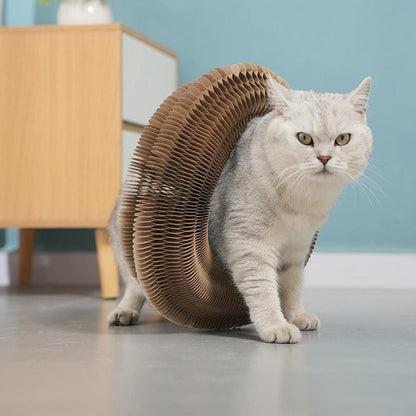 Organ Cat Toy Transformable Interactive Cardboard Toy with Track and Bell Ball V1263-JX-6886