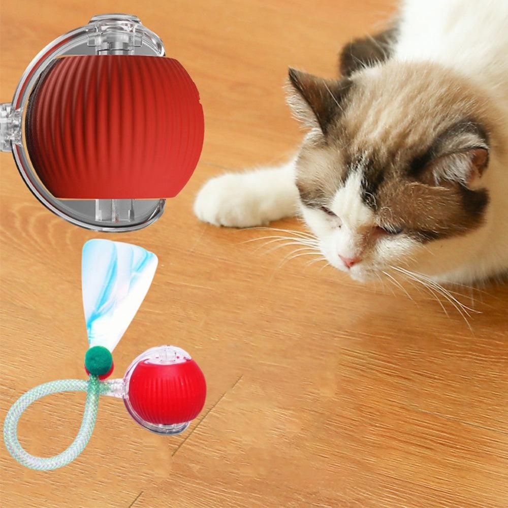 Interactive Cat Toy Moving Cat Ball with Dragonfly Tail Indoor Auto-Turn Cat Toy Red V1263-JX-6901