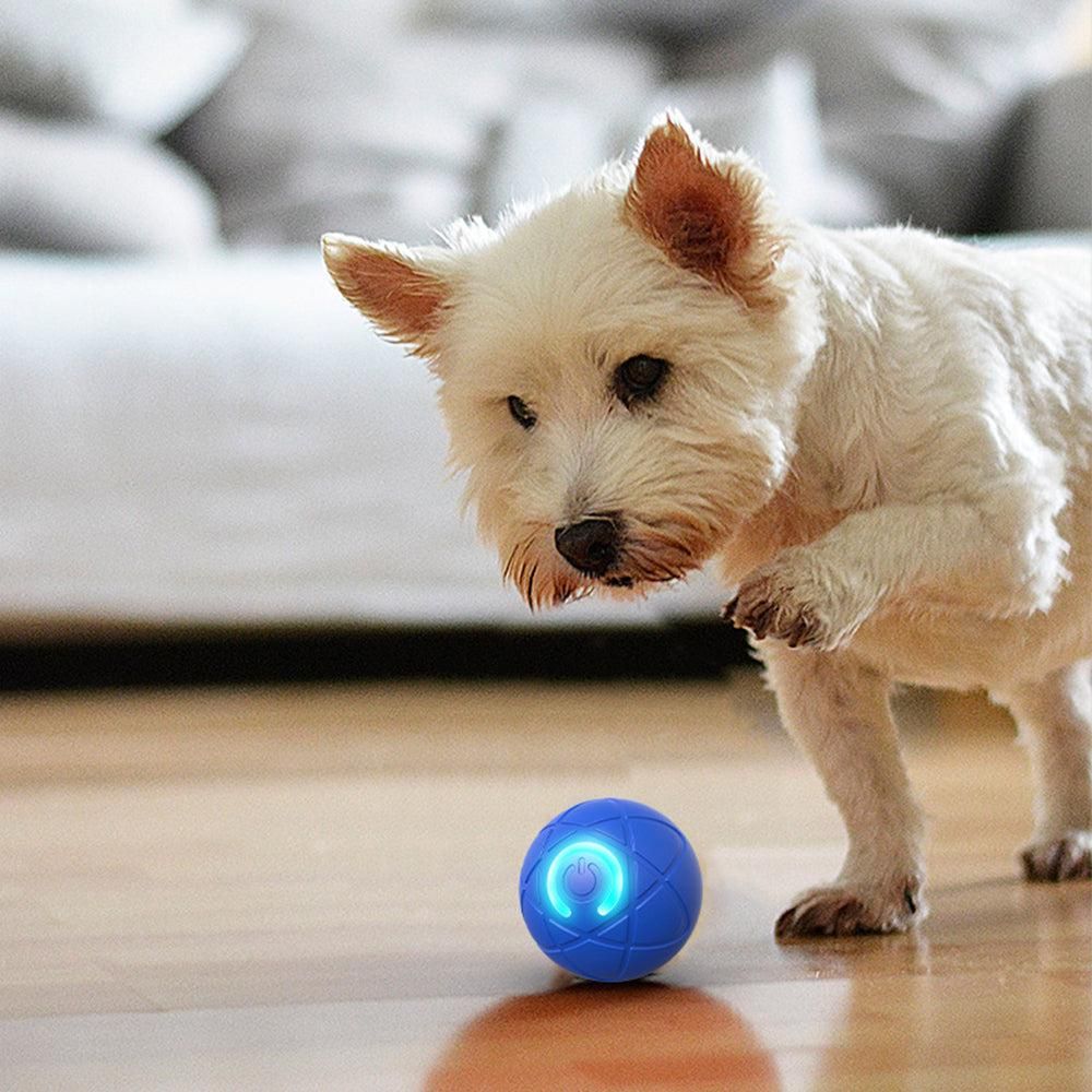 2Pcs 5CM Automatic Moving Ball Toys for Cats USB Rechargeable Interactive Cat Bouncing Toys V1263-JX-6904