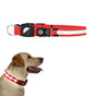 Luminous LED Pet Dog Collar Light-up USB Rechargeable Dog Collar Red - L V1263-JX-6907-3