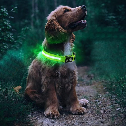 Luminous LED Pet Dog Collar Light-up USB Rechargeable Dog Collar Green - S V1263-JX-6908-1