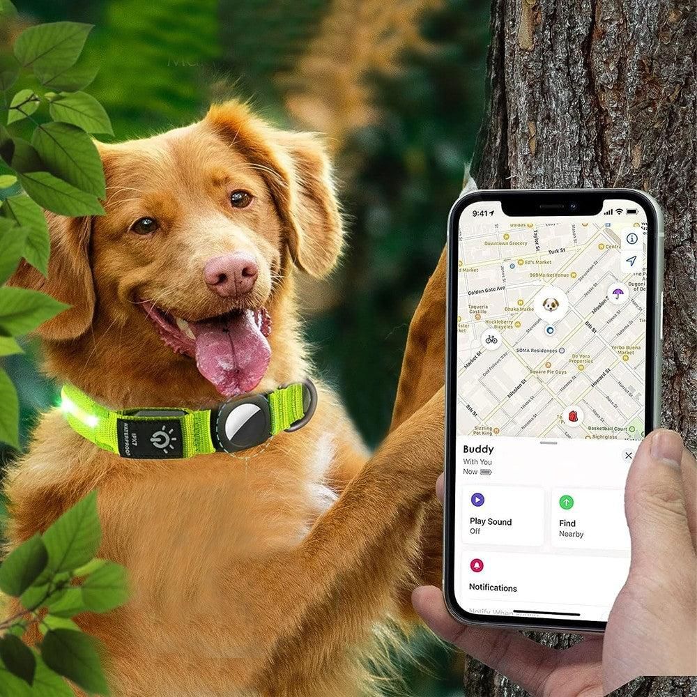 Luminous LED Pet Dog Collar Light-up USB Rechargeable Dog Collar Green - L V1263-JX-6908-3