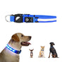 Luminous LED Pet Dog Collar Light-up USB Rechargeable Dog Collar Blue - M V1263-JX-6909-2