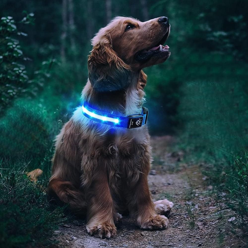 Luminous LED Pet Dog Collar Light-up USB Rechargeable Dog Collar Blue - M V1263-JX-6909-2