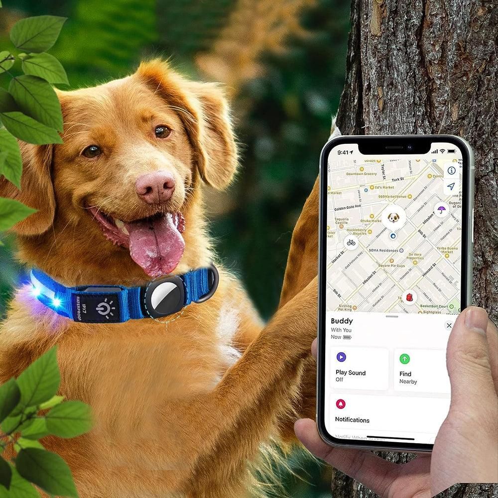 Luminous LED Pet Dog Collar Light-up USB Rechargeable Dog Collar Blue - M V1263-JX-6909-2