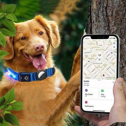 Luminous LED Pet Dog Collar Light-up USB Rechargeable Dog Collar Blue - M V1263-JX-6909-2