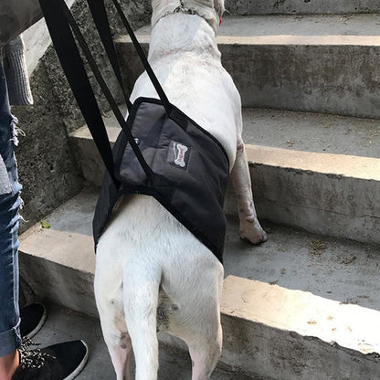 Pet Dog Support Harness Walking Vest Dog Sling Support Sling Gray - XL V1263-JX-6912-4