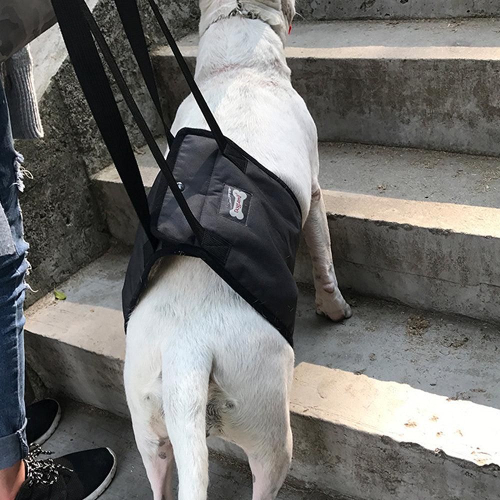 Pet Dog Support Harness Walking Vest Dog Sling Support Sling Gray - XL V1263-JX-6912-4