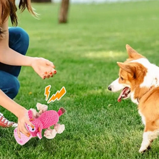 Dog Toys for Aggressive Chewers - Squeaky Toys to Keep Dogs Busy Style 2 V1263-JX-6916