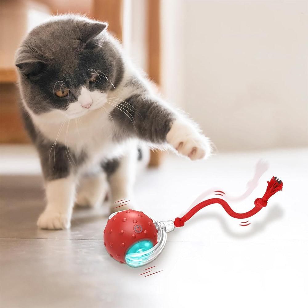 Motion Activate Interactive Cat Toy Rechargeable Smart Rolling Ball with Rope Red V1263-JX-6937